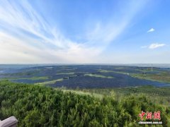 （活力中国调研行）“绿”与“电”绣出